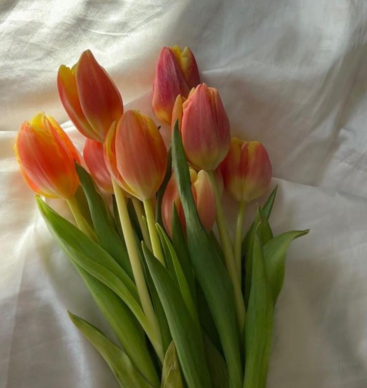 IMG-20240626-WA0038